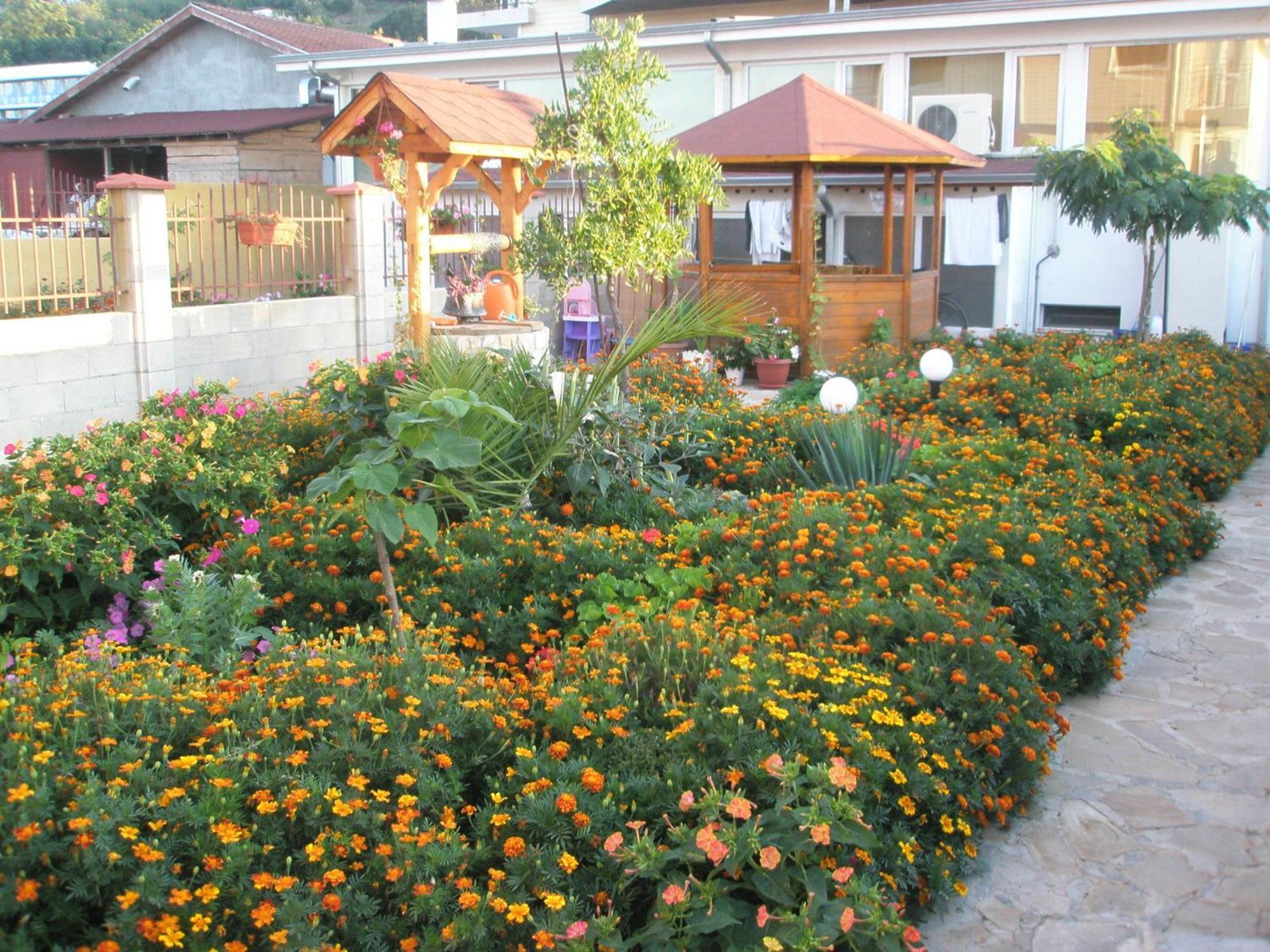 Hotel Morski Dar 克兰内沃 外观 照片